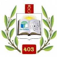 ГБОУ школа № 403 Пушкинского района Санкт-Петербурга
